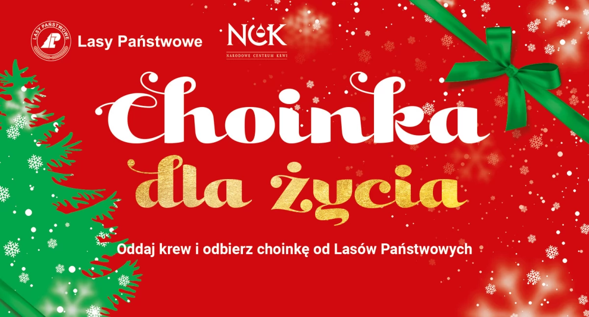 Choinka za dar krwi. Świąteczne drzewko od leśników 