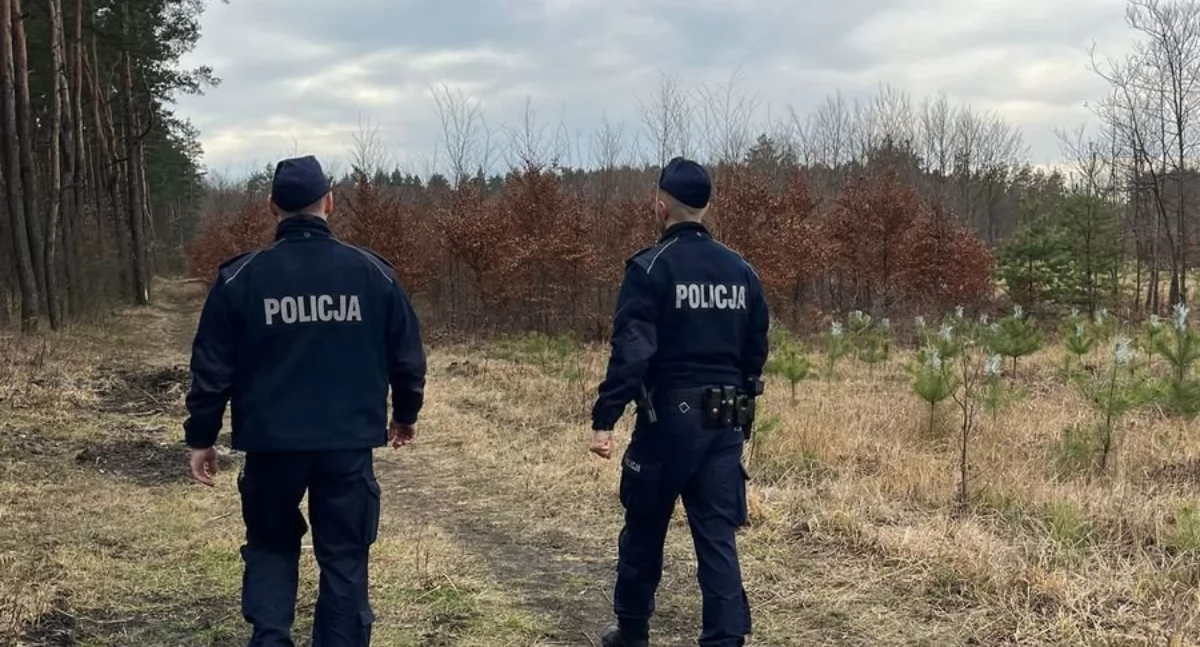 Policjanci z Jaworzna kontrolują lasy przed świętami. Walka z nielegalnym wycinaniem drzew