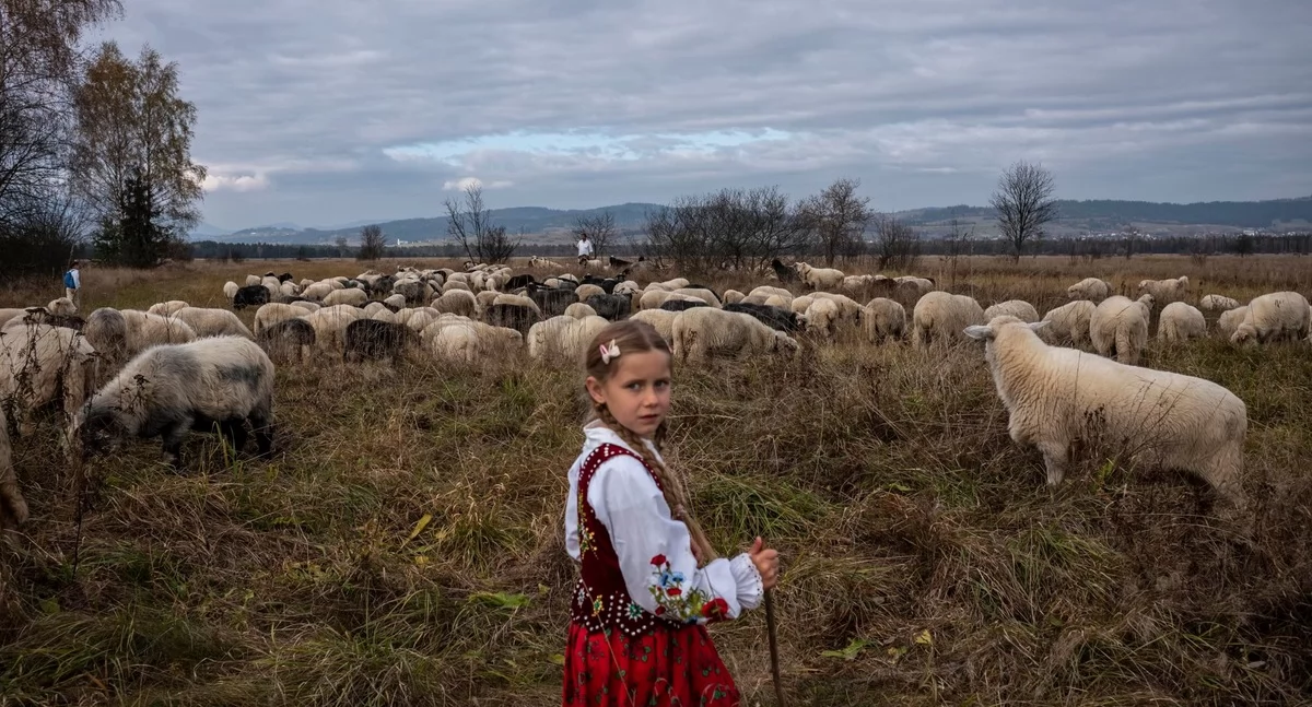 Paweł Jędrusik i fotograficzne podsuwanie 2024 roku