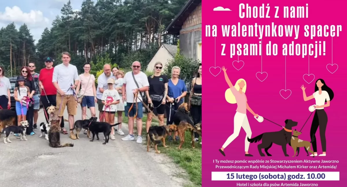Zbliża się walentynkowy spacer z psami