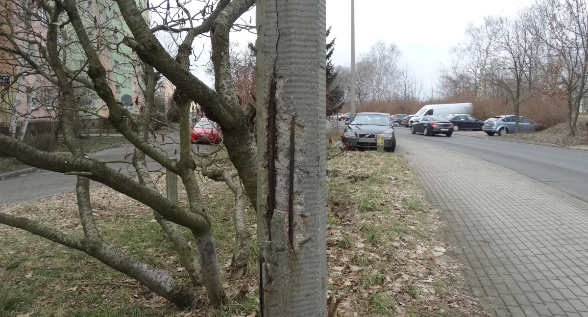 Kolejne popękane słupy na Podłężu