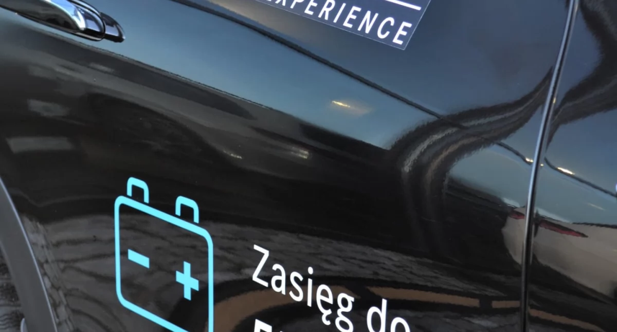 Dlaczego klienci coraz częściej wybierają firmy wspierające ekologię?