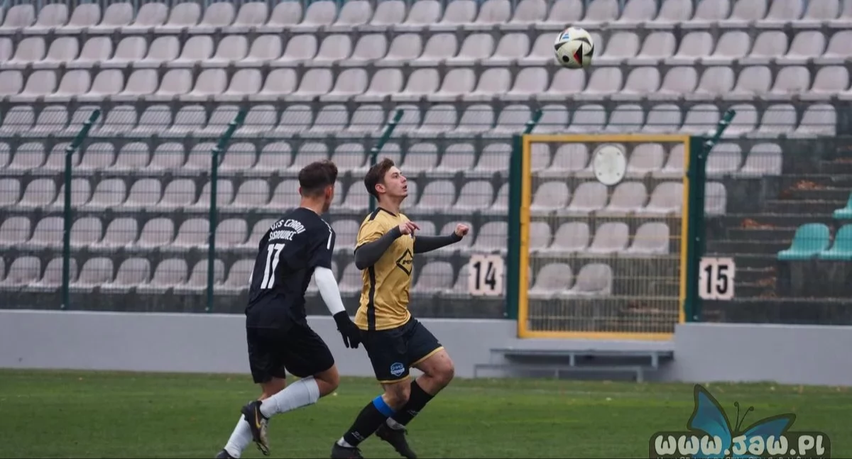 Nagrody i wyróżnienia dla sportowców 2025 – ruszył nabór wniosków