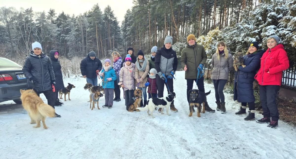 Walentynkowy spacer z psami do adopcji - jaworznianie zakochani w psach