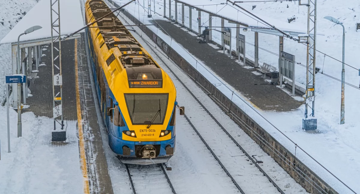 Trwają ferie za złotówkę z Kolejami Śląskimi