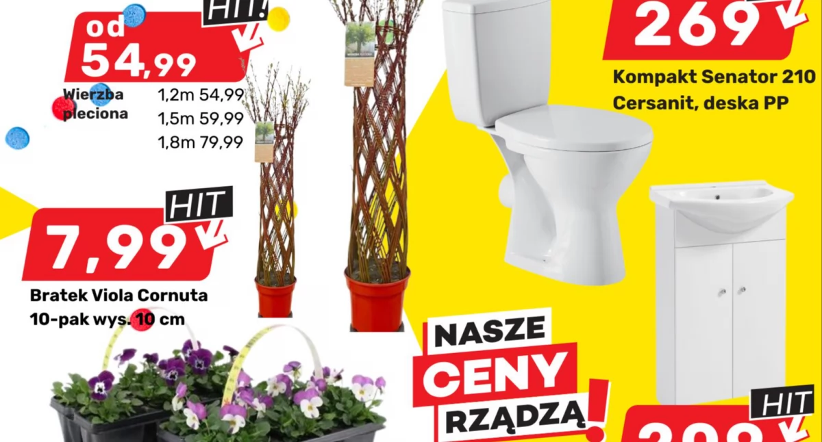 Pierwsze urodziny Bricomarché - wielkie promocje i ciekawe atrakcje