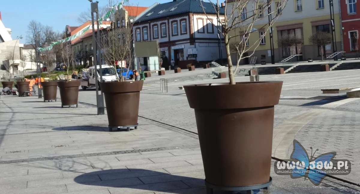 Nowe doniczki mają upiększyć rynek 