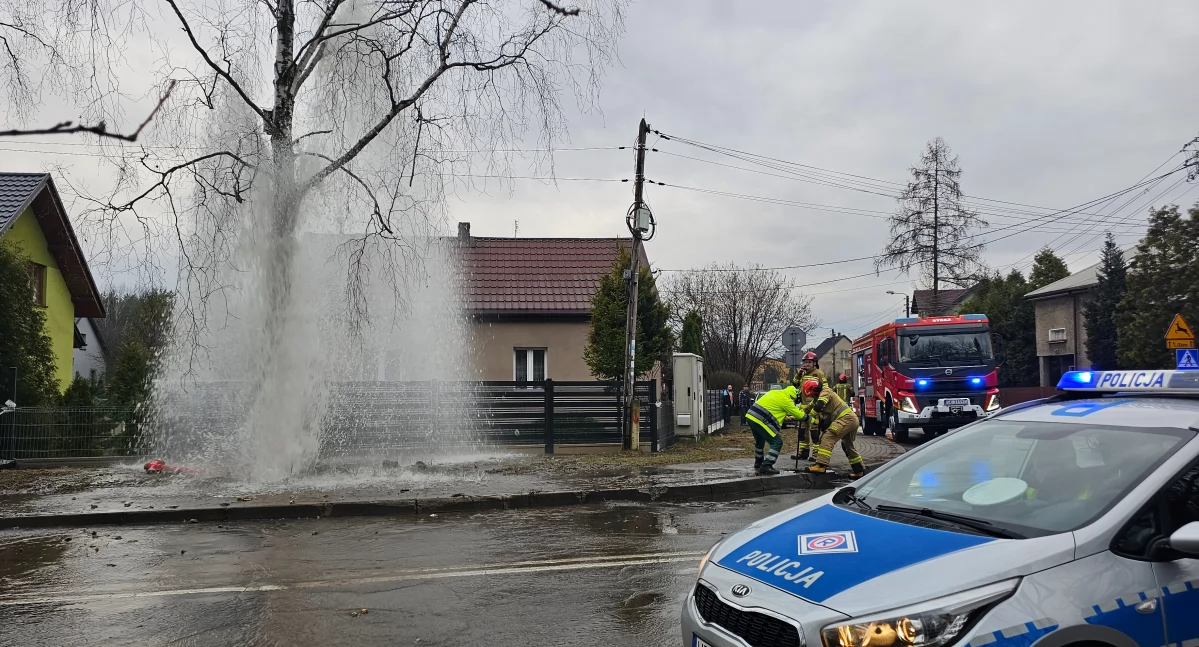 Stłuczka na skrzyżowaniu ulic Pionierów i Wilkoszyn. Uszkodzony hydrant zalał posesje