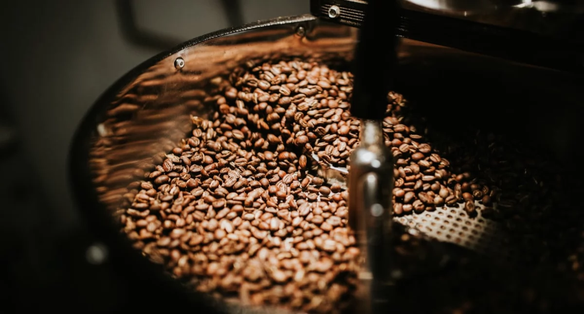 Jaka kawa ziarnista do ekspresu? Przewodnik dla miłośników aromatycznej filiżanki