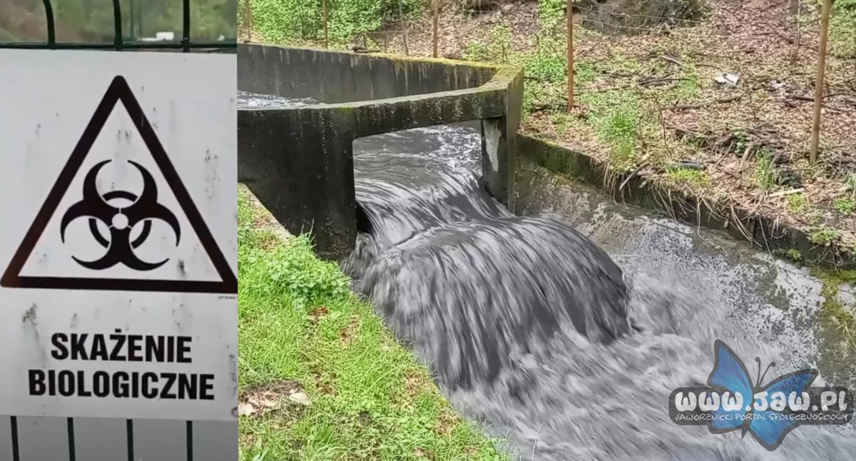 Ścieki wpuszczone do Wąwolnicy - mieszkańcy Jelenia alarmują