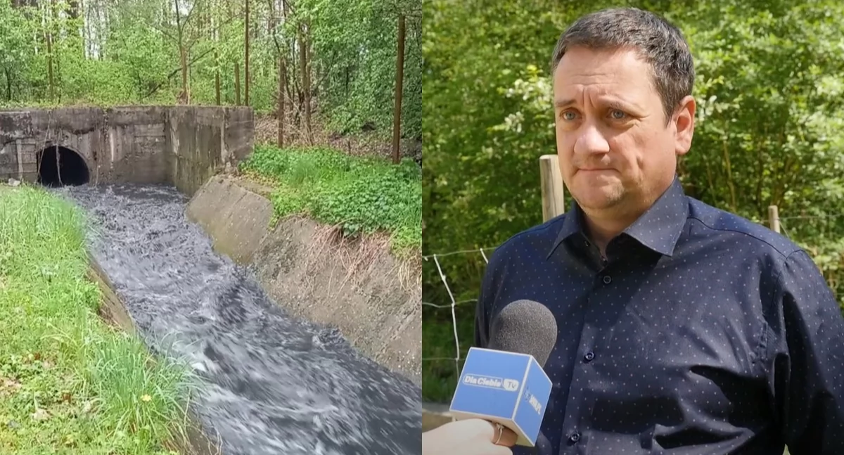 Ścieki z całego Jaworzna wlewane do Wąwolnicy – radny tłumaczy, że przyczyną może być awaria sprzed wielu lat