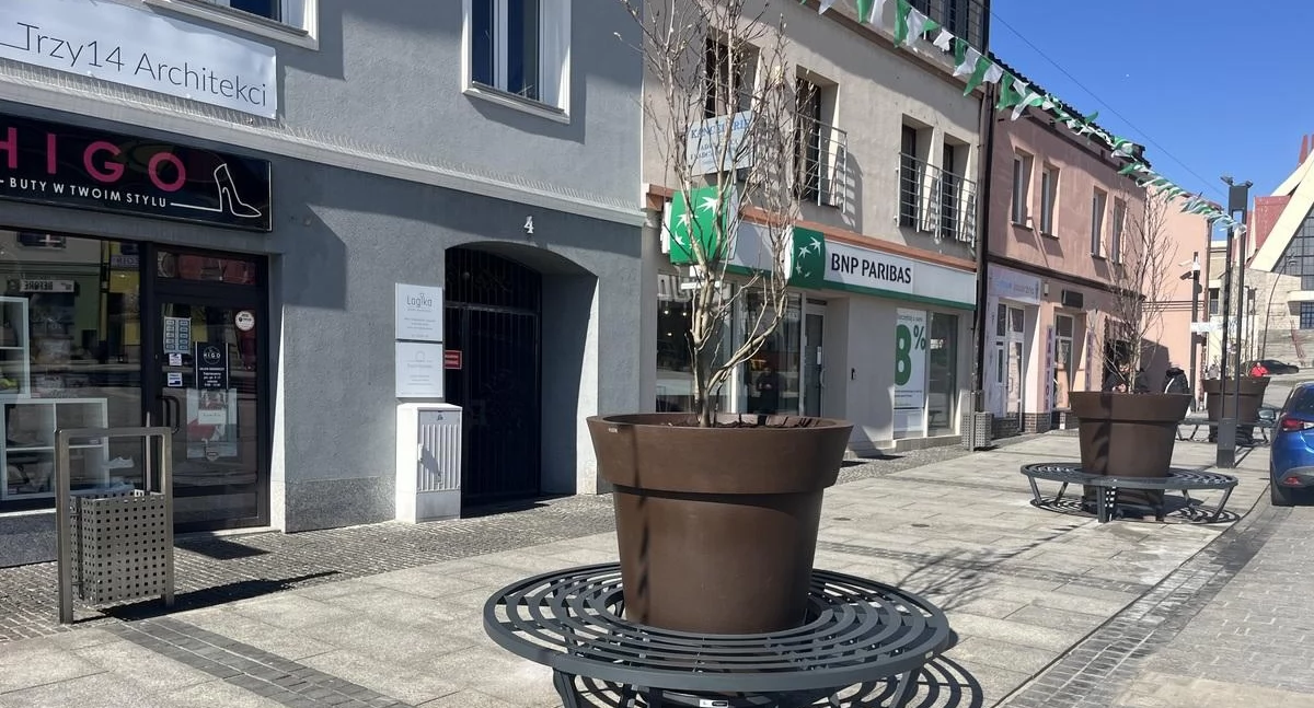 MZDiM w Jaworznie poszukuje pracowników do utrzymania zieleni miejskiej