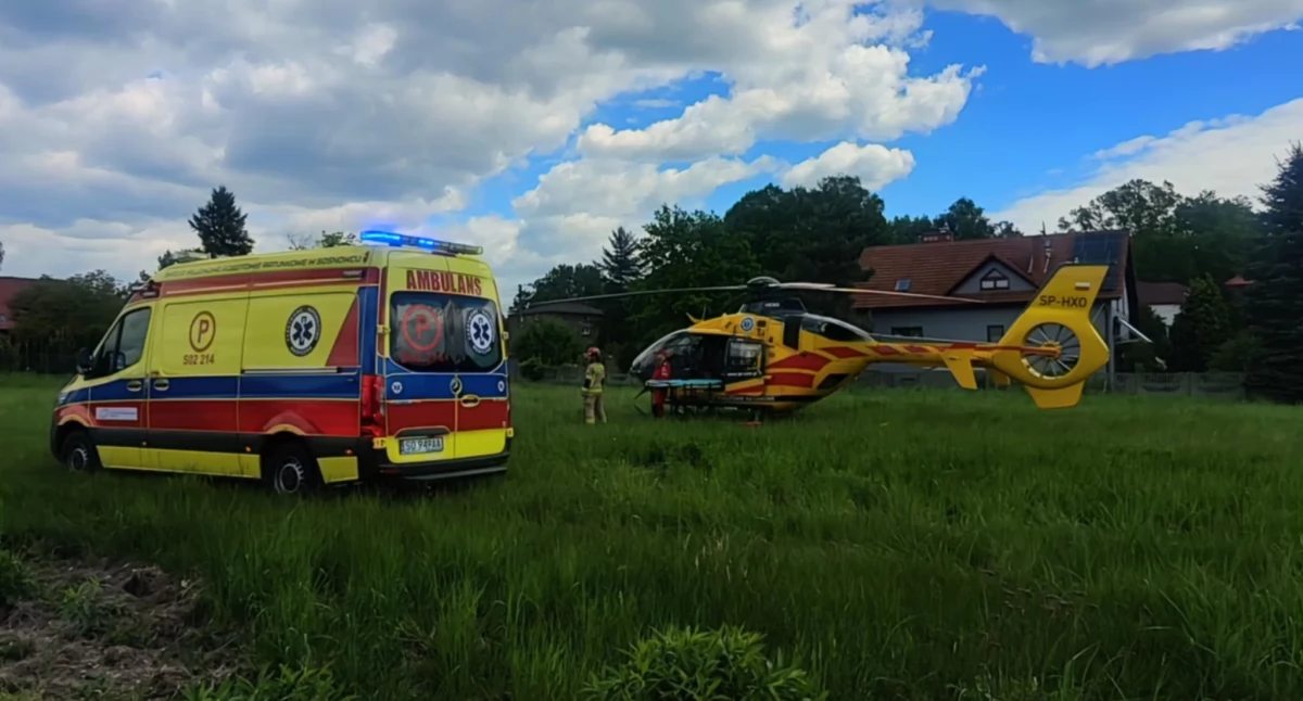 Drzewo przygniotło mężczyznę. Na miejsce wezwano LPR