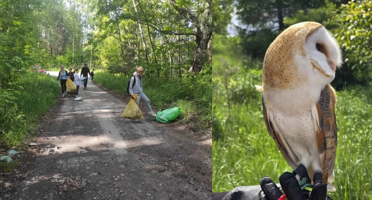 Prawie 200 worków śmieci zebranych na Borach