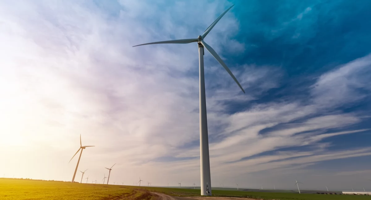 Jakie firmy mogą skorzystać z energii wiatrowej?