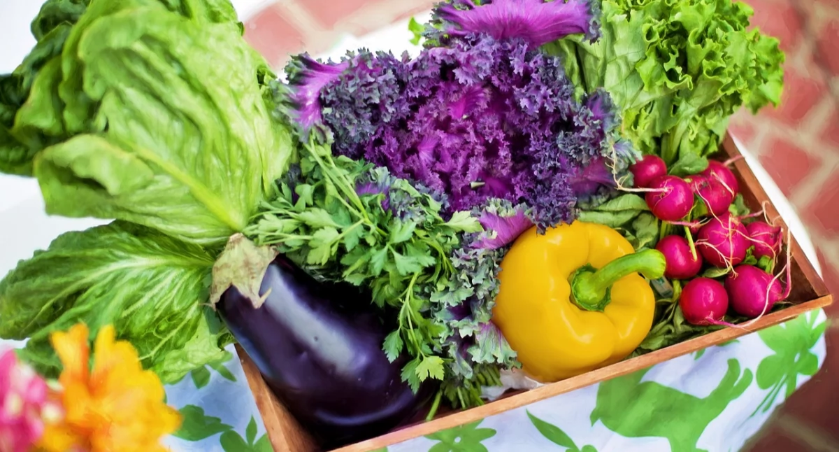 Hurtownie warzyw – fundament zaopatrzenia gastronomii i handlu