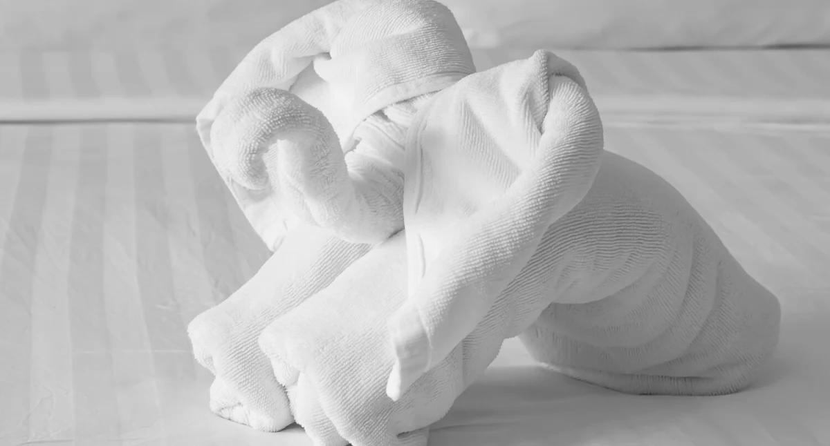 Ekologiczne tekstylia hotelowe: korzyści dla środowiska i gości