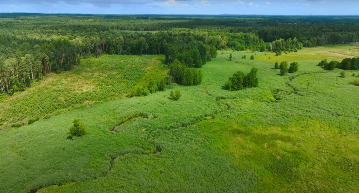 Kozłowa Góra - w poszukiwaniu meandrów Brynicy