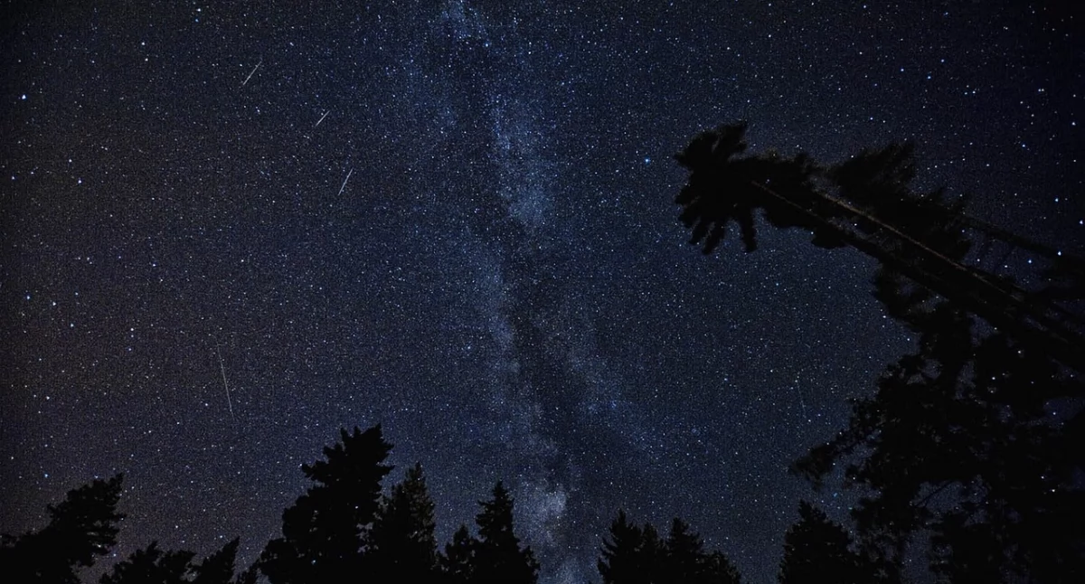 Noc Perseidów w Jaworznie