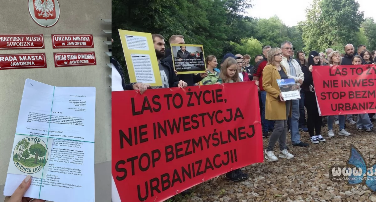 Ponad dwa tysiące podpisów przeciwko wycince lasu w Dąbrowie Narodowej. Mieszkańcy mówią: NIE dla betonowania Jaworzna