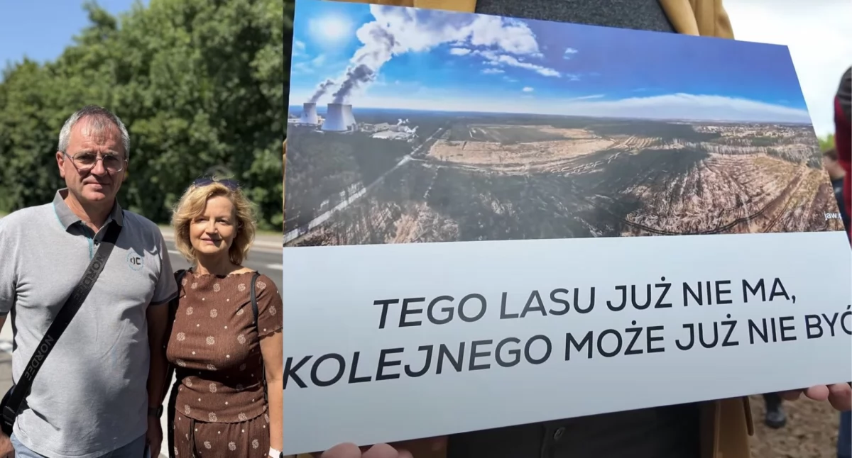 Sprzeciwiają się wycince lasu. Złożyli prawie 900 uwag i zebrali ponad 2 tysiące podpisów