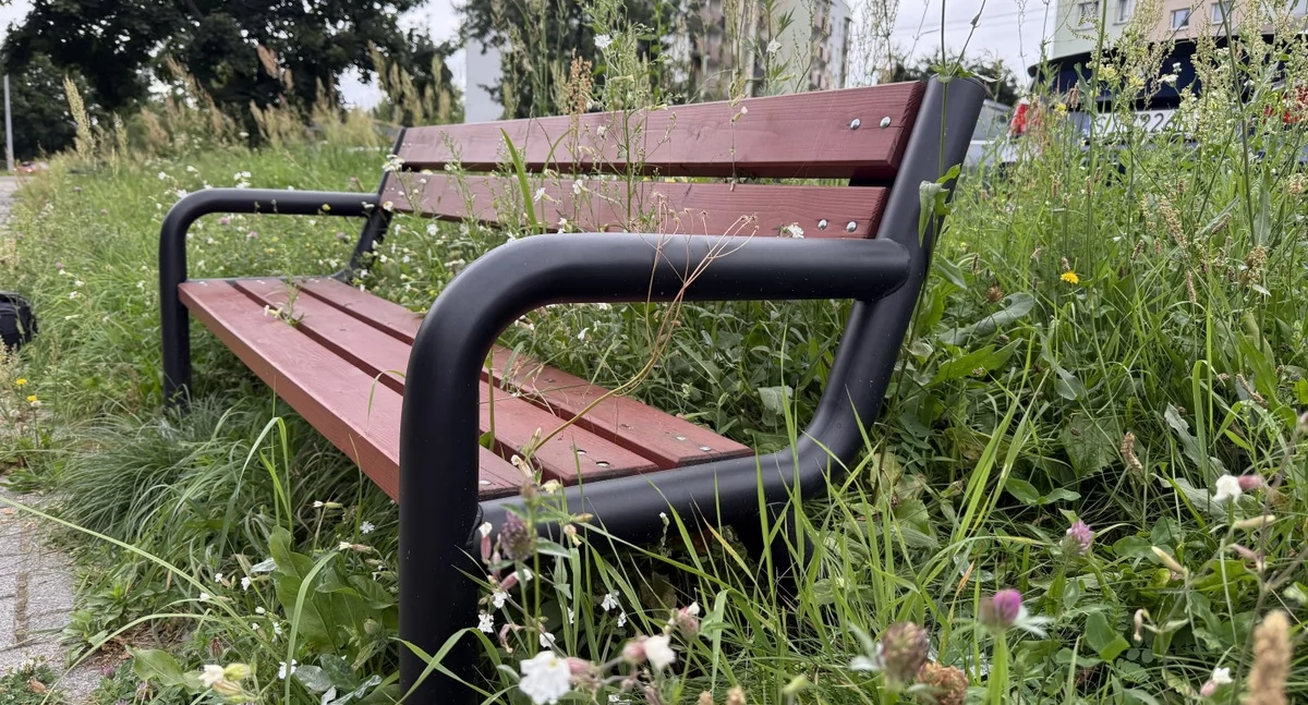 Łąki kwietne, a dlaczego nie ławeczki piknikowe. Zarośnięta ławeczka to obcowanie z naturą
