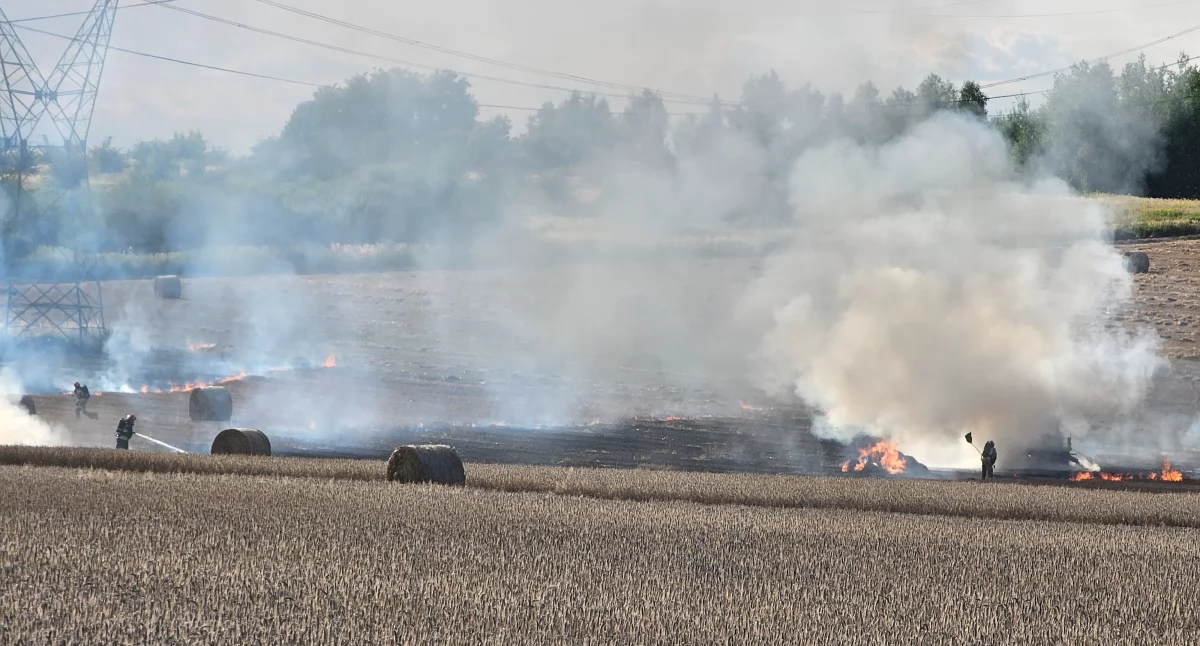 Pożar na polach uprawnych w rejonie ul. św. Wojciecha