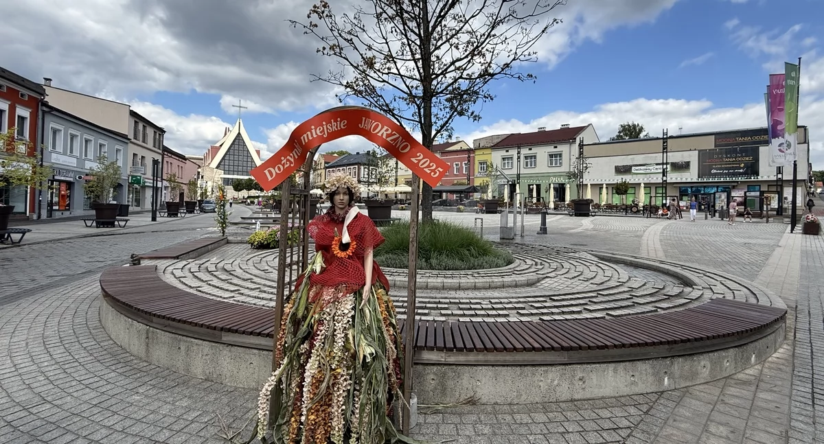 Zbliżają się miejskie dożynki – pergole już zdobią miasto