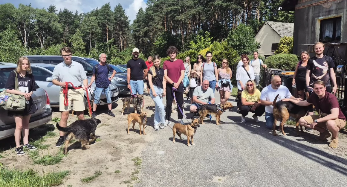 Spaceruj i pomagaj. Kolejny spacer z psami do adopcji już we wrześniu