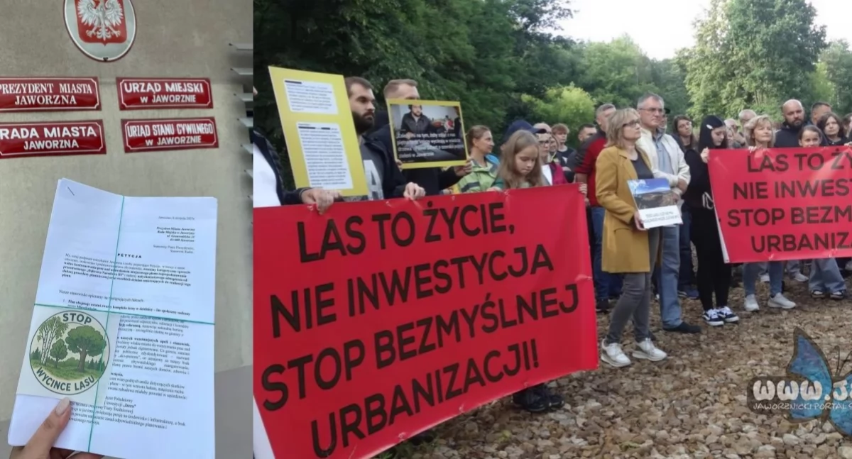 Urząd odrzucił głos mieszkańców sprzeciwiających się wycince lasu. Ponad 800 uwag nie zostało uwzględnionych