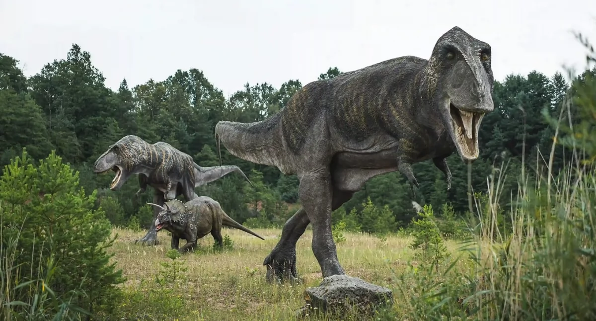 W jakich miejscach można zgłębić wiedzę o dinozaurach?