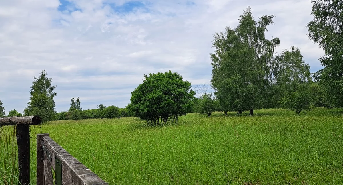 Urząd odpowiada, że kolejne spotkania konsultacyjne mają się odbyć w godzinach popołudniowych