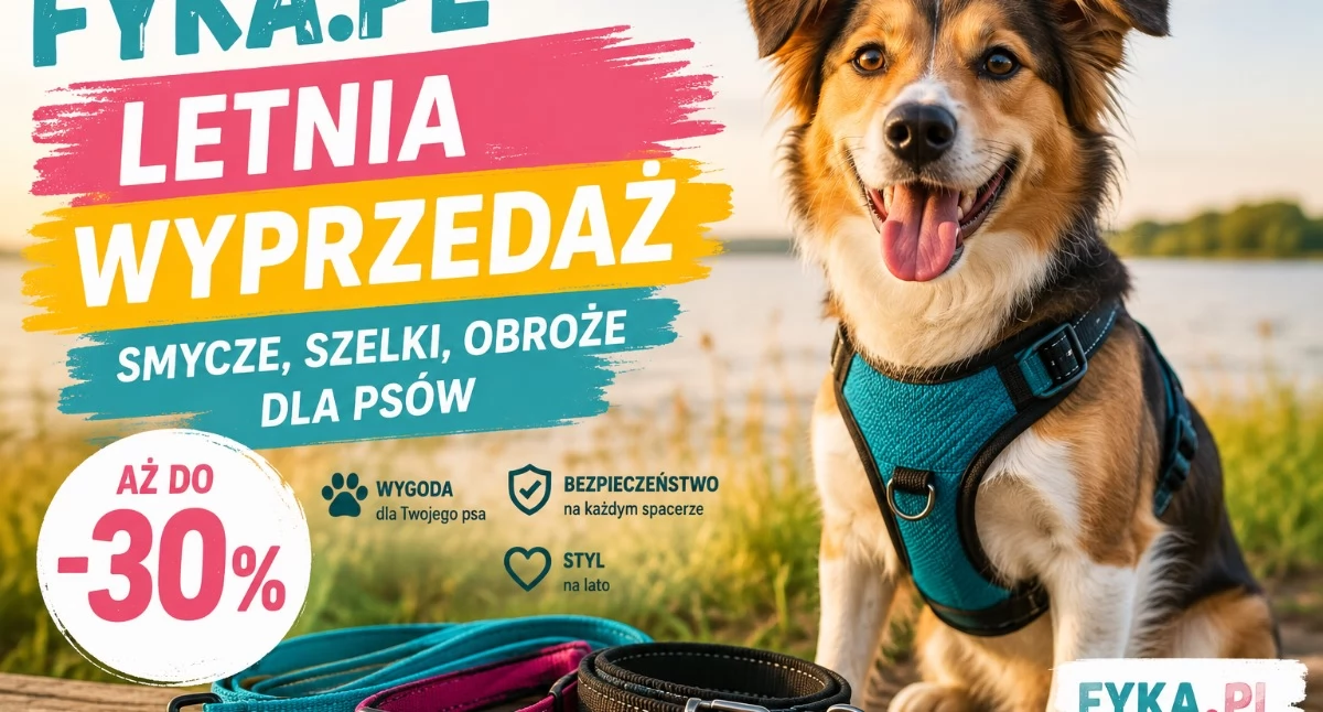 Fyka.pl rozpoczyna letnią wyprzedaż. To dobry moment, aby przygotować psa na wakacyjne spacery