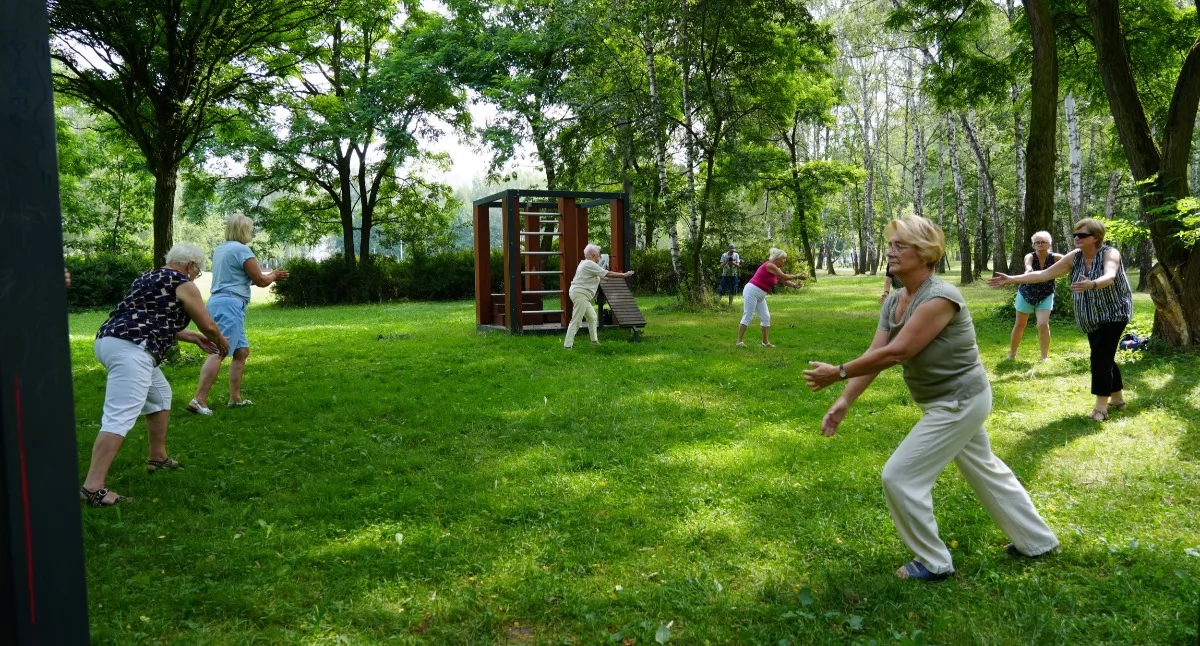 Plenerowe zajęcia Tai Chi w Jaworznie