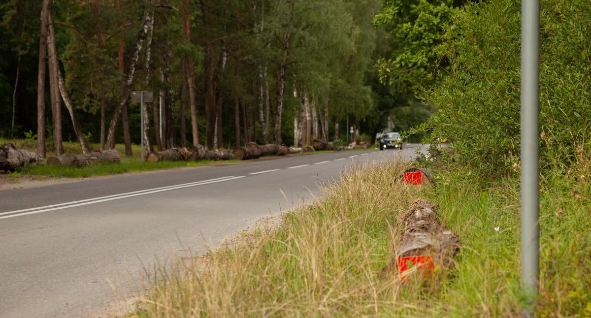 Kto podjął decyzję o ułożeniu kłód przy Sosinie? Urzędnicy nabrali wody w usta. MZDiM Jaworzno: Filozofowanie i dociekanie nie należą do naszych zadań