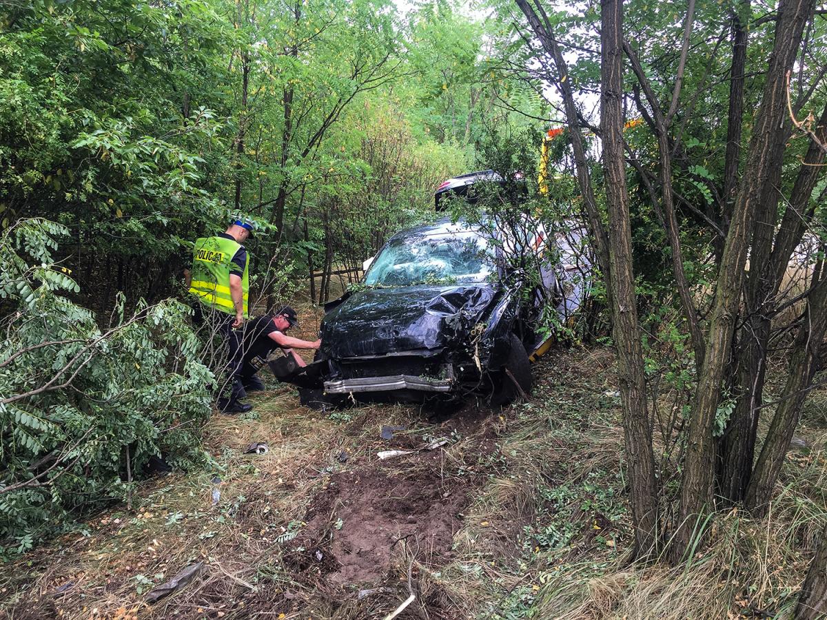 Audi w rowie na Orląt Lwowskich