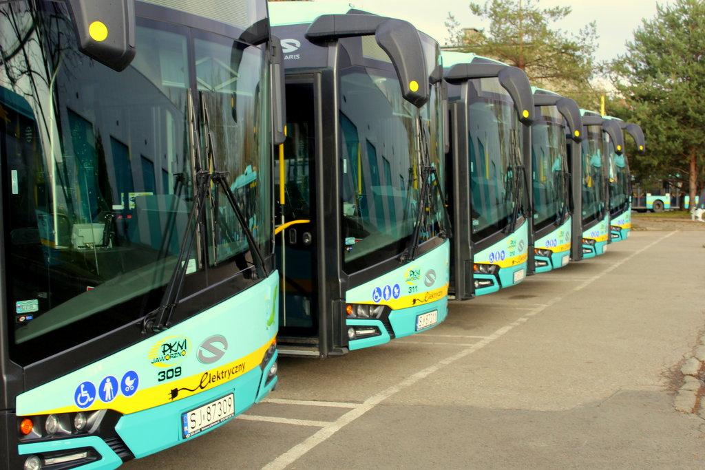 Brak kursów dla linii 313