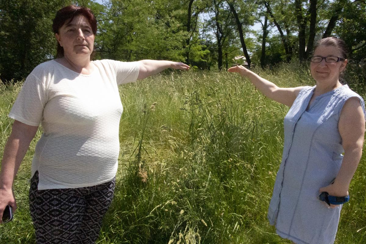 Mieszkańcy Szczakowej mają dość wysokich traw