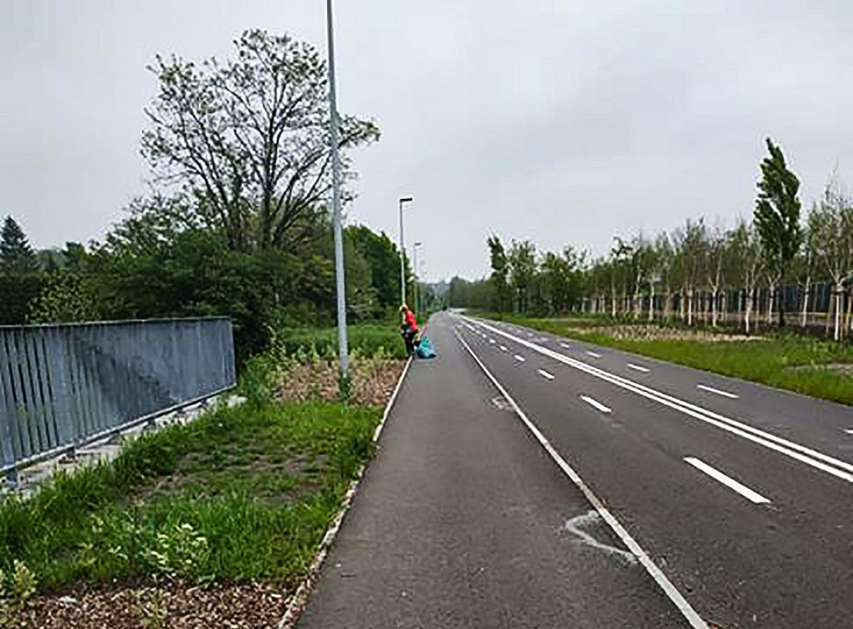 Wyrywała sadzonki przy Velostradzie