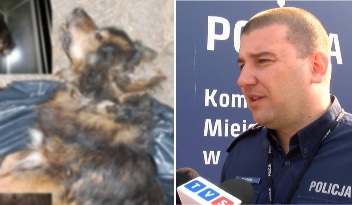 Zakopał psa, bo myślał, że nie żyje