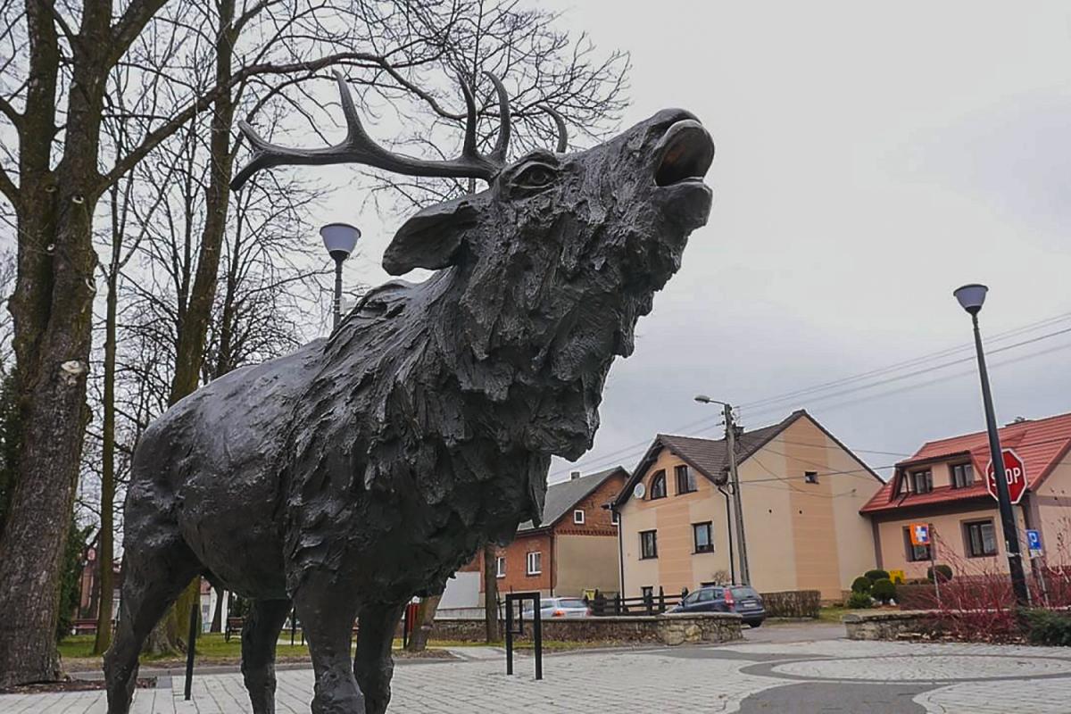 W Jeleniu posypały się mandaty za opał i kanalizację