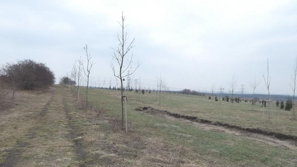 Park Chrząstówka