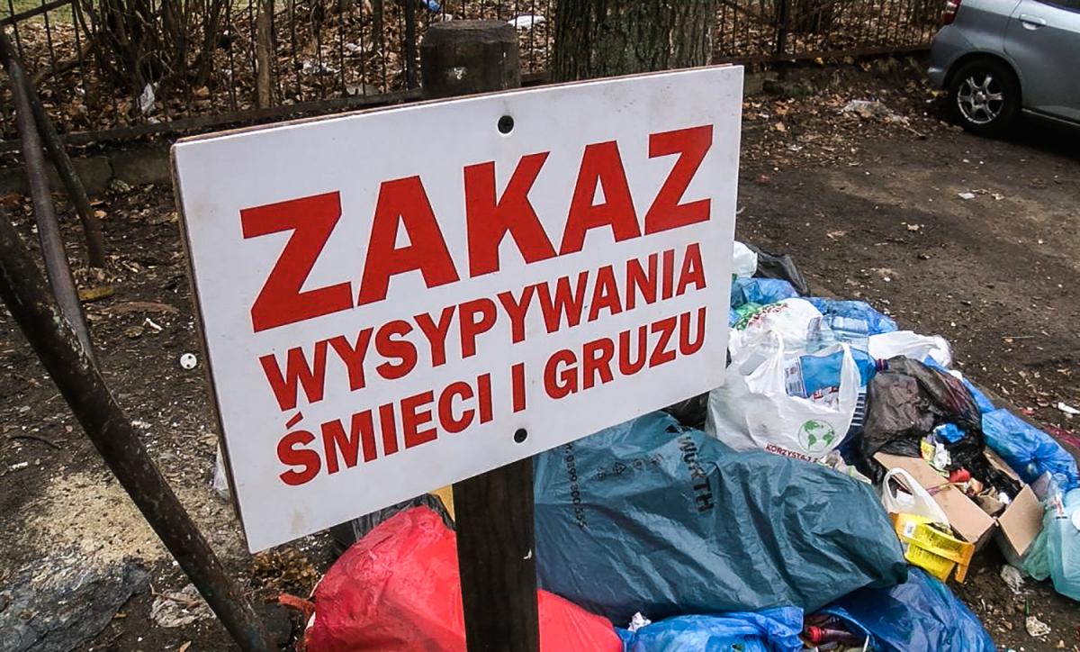 Fotopułapka na Jaśminowej!