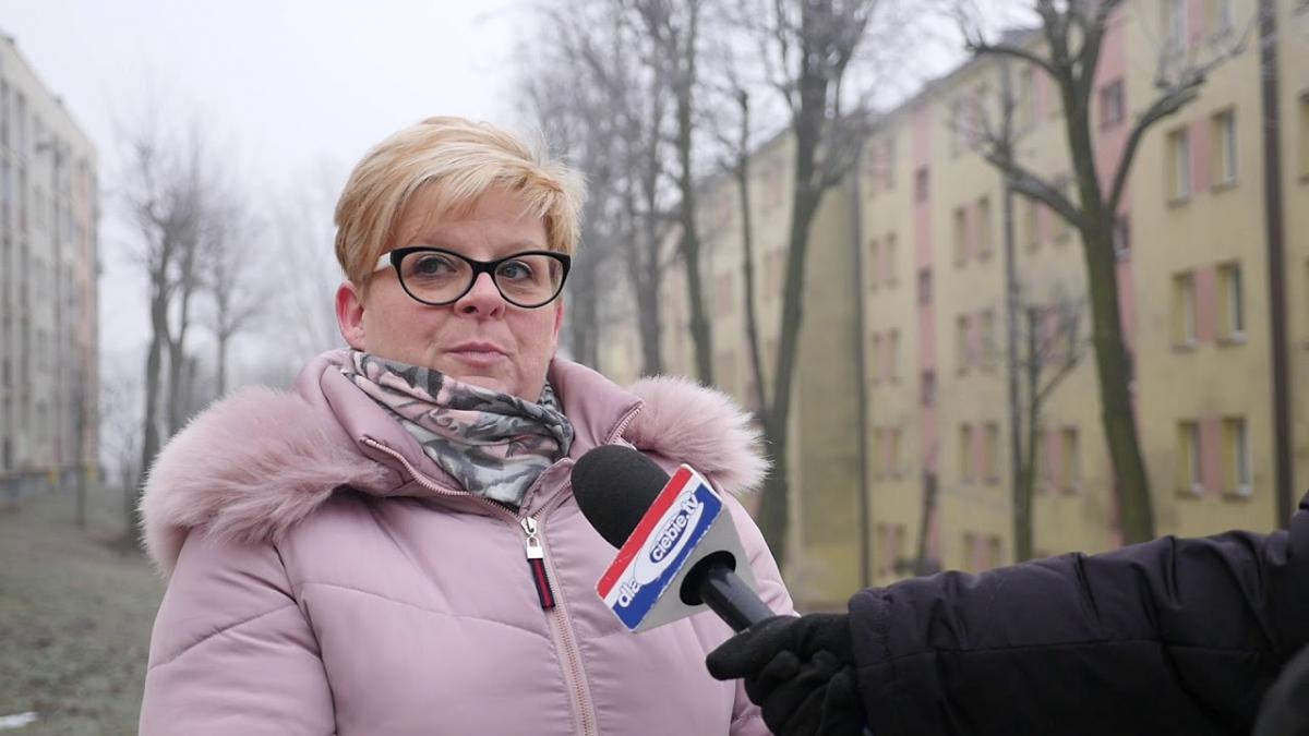 Przycinka i pielęgnacja drzew na terenach SM Górnik