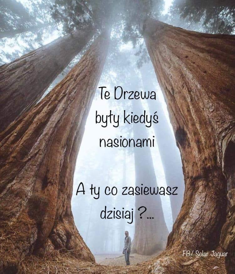 Słowa i czyny