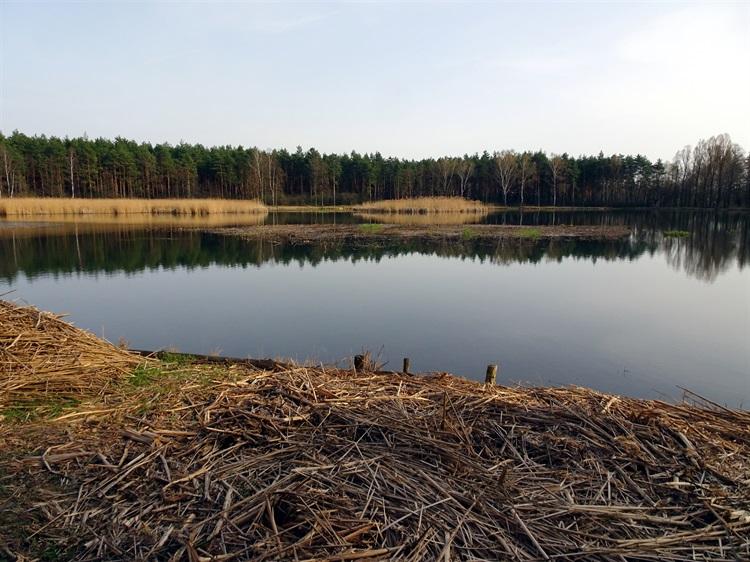 Dzielnice: tak, a nie inaczej – Wysoki Brzeg