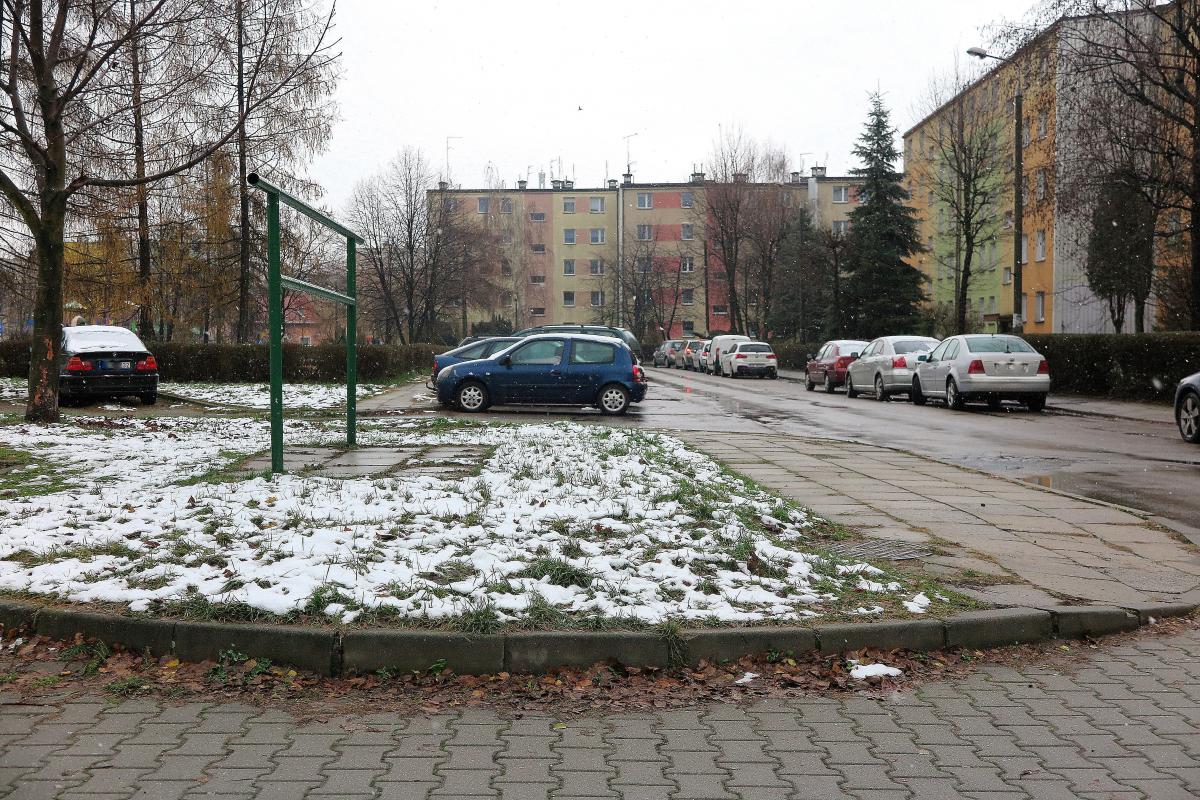 Ktoś truje psy na terenie Osiedla Stałego?