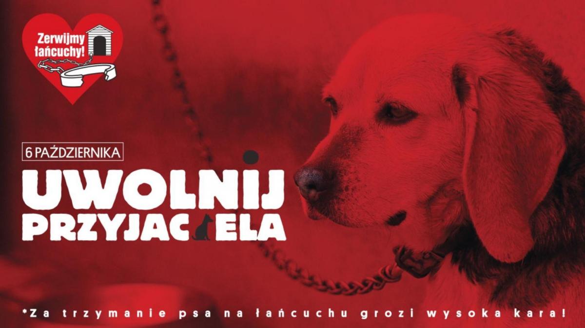 Akcja TOZ 