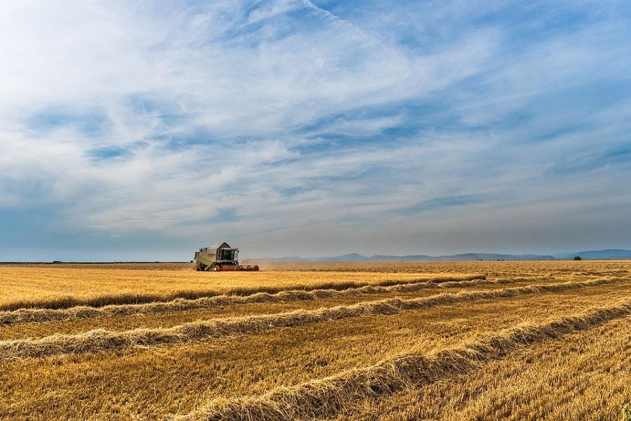 Leasing ciągników siodłowych - harmonogram sezonowy