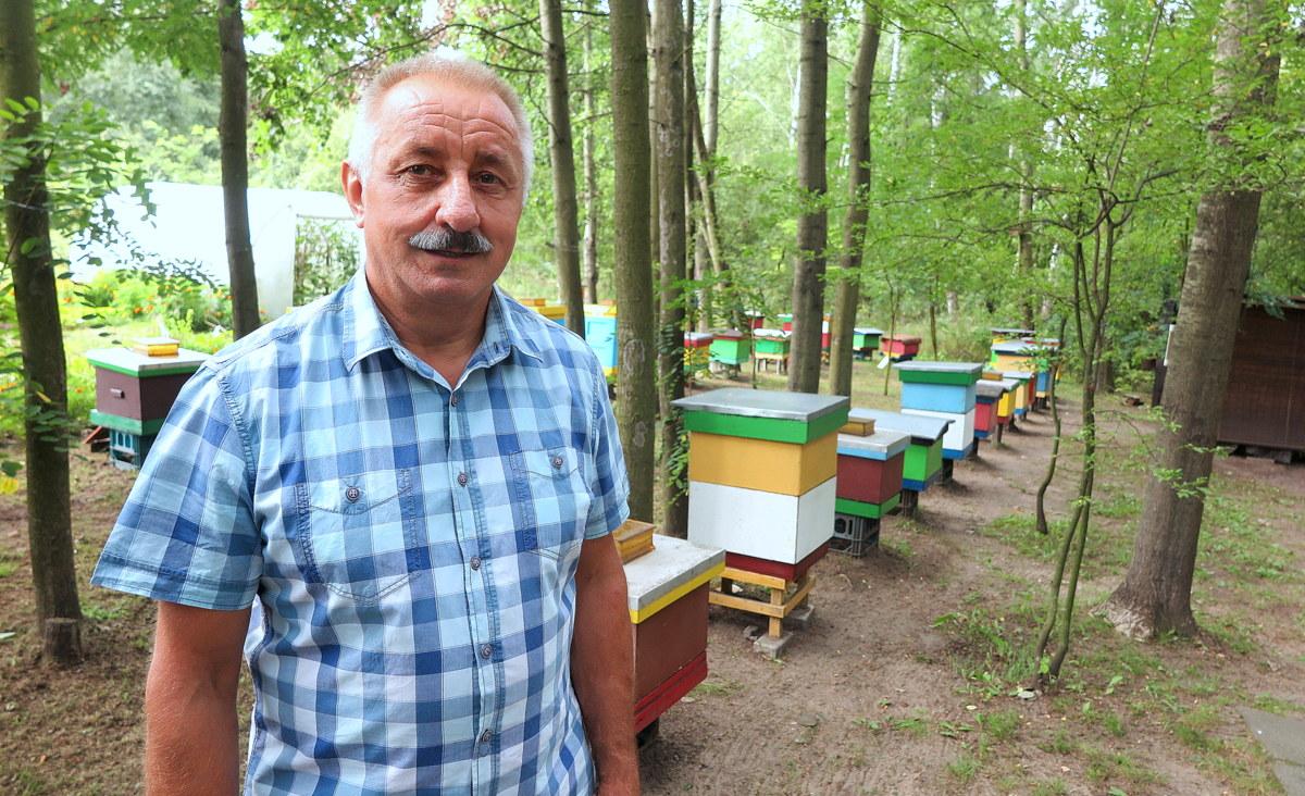 Pszczół dzień jak co dzień